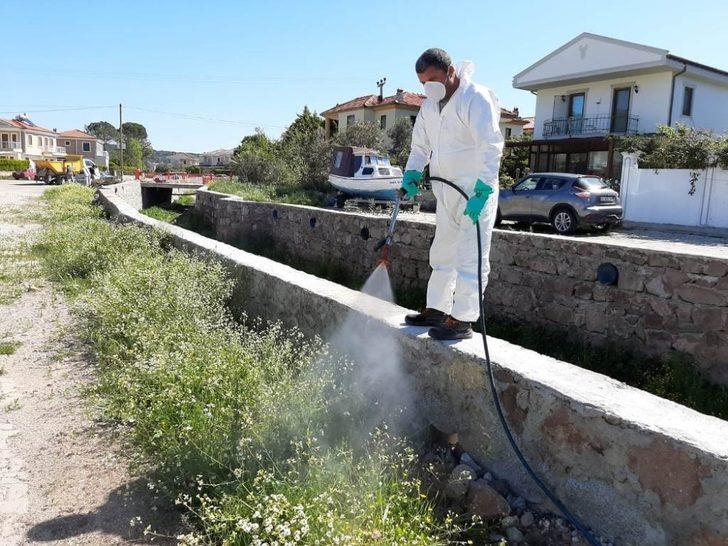 Ayvalık’ta “sivrisinek” ile amansız mücadele sürüyor G4