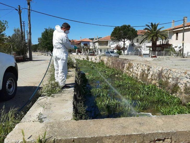 Ayvalık’ta “sivrisinek” ile amansız mücadele sürüyor G5