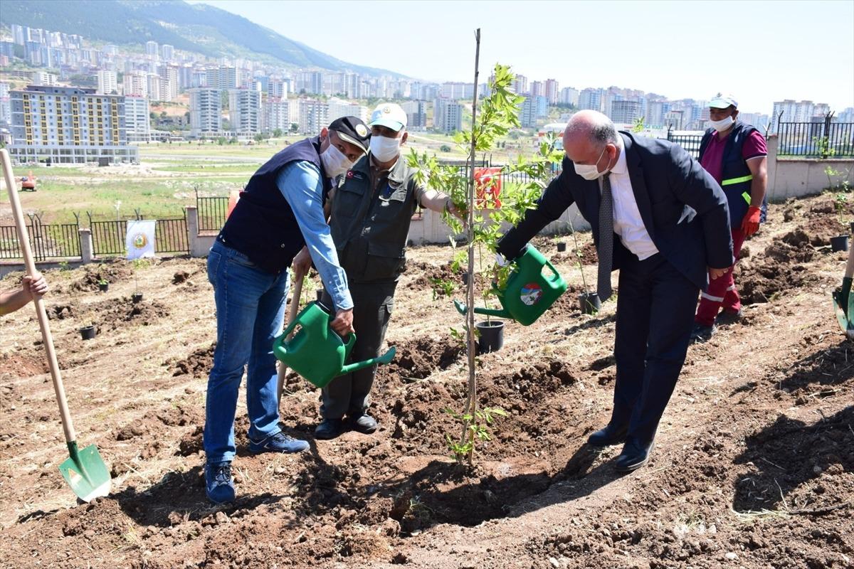Kahramanmaraş'ta Kovid-19 ile m&uuml;cadele eden sağlık &ccedil;alışanları i&ccedil;in 400 fidan dikildi