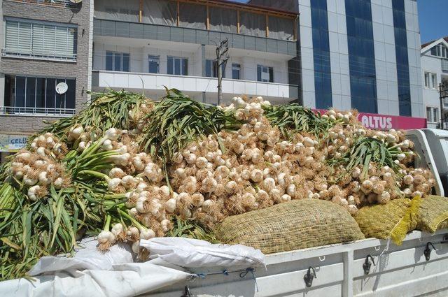 Ucuz sarımsak almak için vatandaşlar sıraya girdi