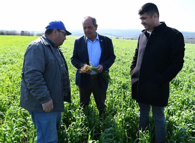 Başkan Sevim tebrikleri kabul etti