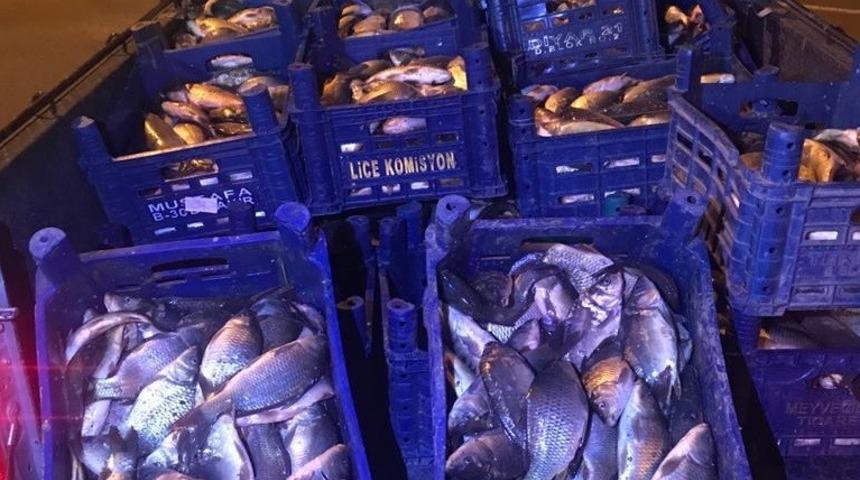 Elazığ&rsquo;da 600 kilo ka&ccedil;ak balık avına 10 bin TL ceza