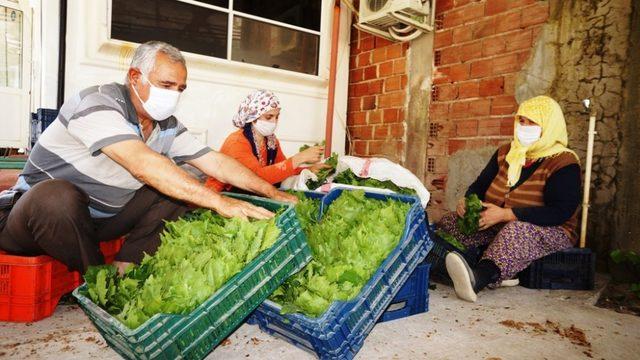 Asma yapraklarıyla aile ekonomilerine katkı sağlıyorlar