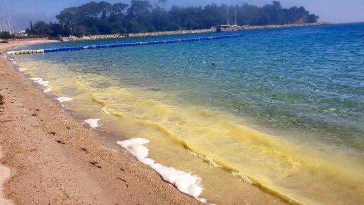 Antalya'da denizden gelen sis merak konusu oldu G2