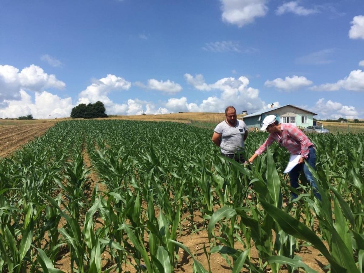 B&uuml;y&uuml;kşehir destekliyor, Kocaelili &ccedil;ift&ccedil;iler &uuml;retiyor