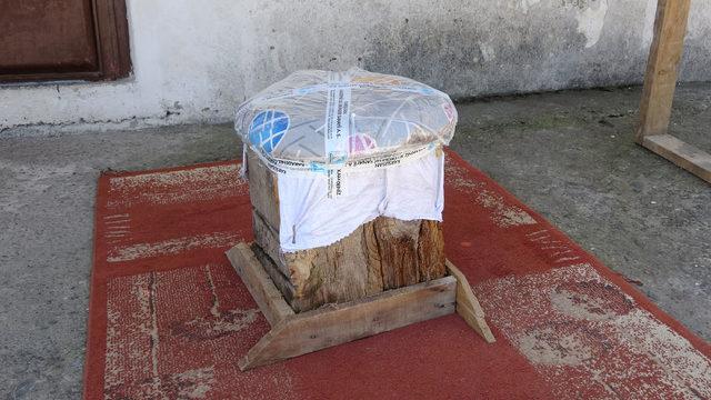 Kütük ve borulardan spor aletleriyle cimnastik yapıyorlar