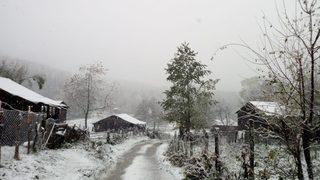Zonguldak'ın Gümeli beldesinde ilk koronavirüs vakası tespit edildi