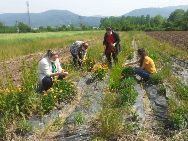 Çiftçi kadınların çiftçiler günü kutlandı G3