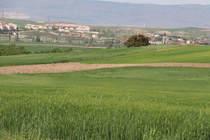 Eskişehir’de koronavirüs salgını, arsa ve arazi fiyatlarını yüzde 20 artırdı G2