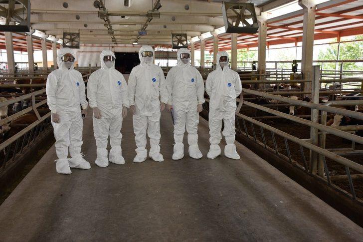 Manisa’da hayvan sağlığı ekibi iş başında G2