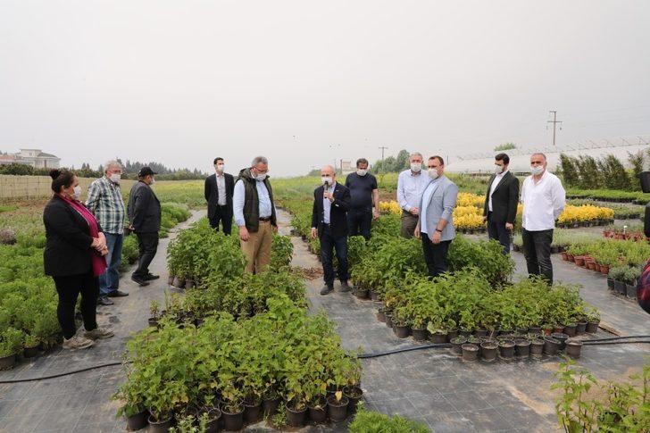 Aromatik ve Tıbbi Bitkiler Borsası Büyükçekmece’de kuruluyor G2