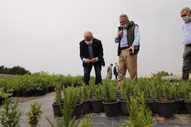 Aromatik ve Tıbbi Bitkiler Borsası Büyükçekmece’de kuruluyor G4