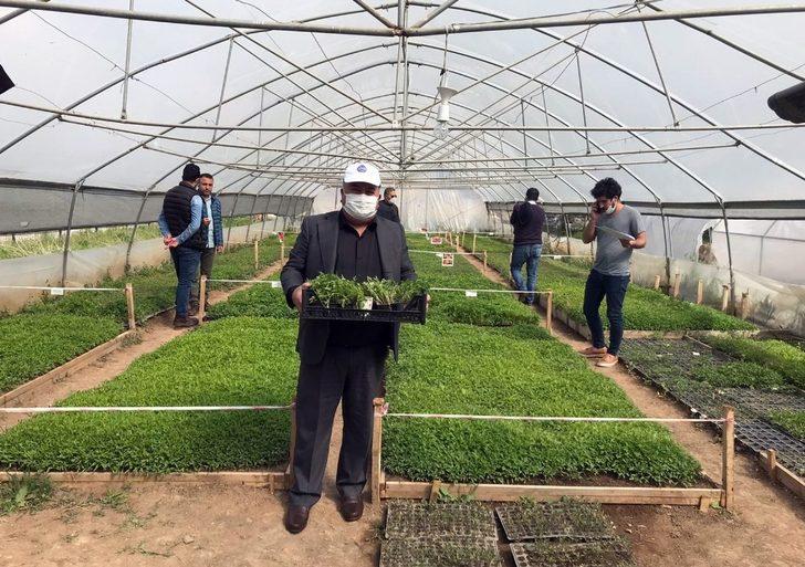 Van Büyükşehir Belediyesi ürettiği yerli fideleri dağıttı G1