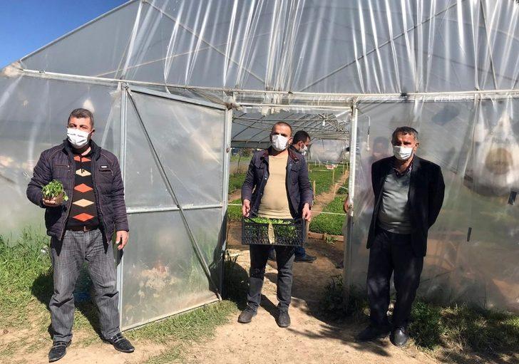 Van Büyükşehir Belediyesi ürettiği yerli fideleri dağıttı G2