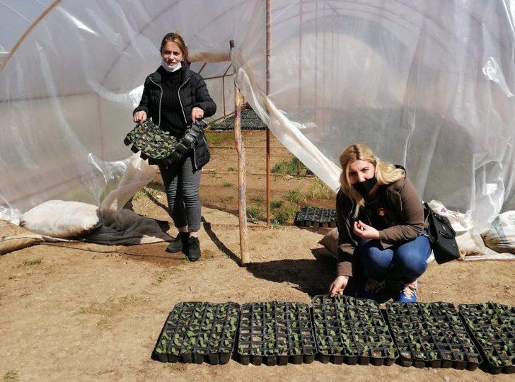 Van Büyükşehir Belediyesi ürettiği yerli fideleri dağıttı G3