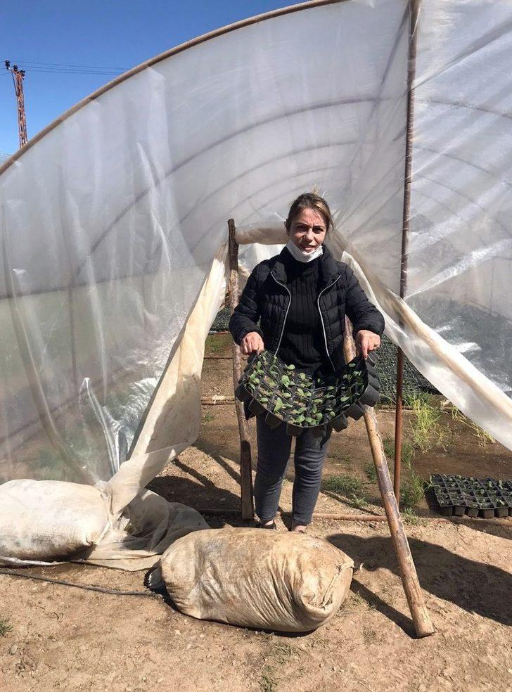 Van Büyükşehir Belediyesi ürettiği yerli fideleri dağıttı G4