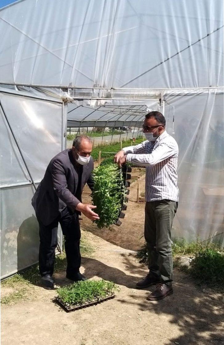 Van Büyükşehir Belediyesi ürettiği yerli fideleri dağıttı G5