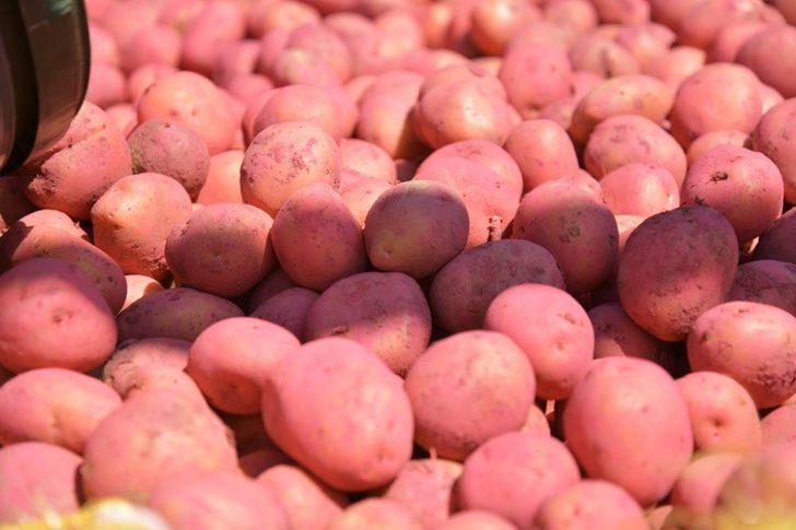 Mustafa Şahin: “Kayseri’de bulunan her boş araziyi değerlendiriyoruz” G2