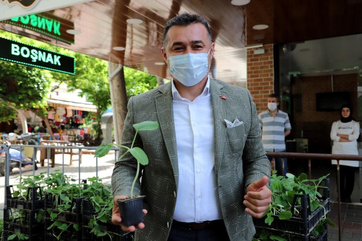 Alanya&rsquo;da su kabağı fidesi dağıtımı