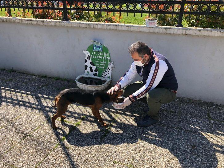 Yıldırım’de sokak hayvanlarına şefkat G1