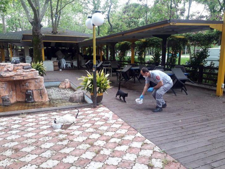 Osmangazi’de sokak hayvanları sahipsiz kalmadı G4