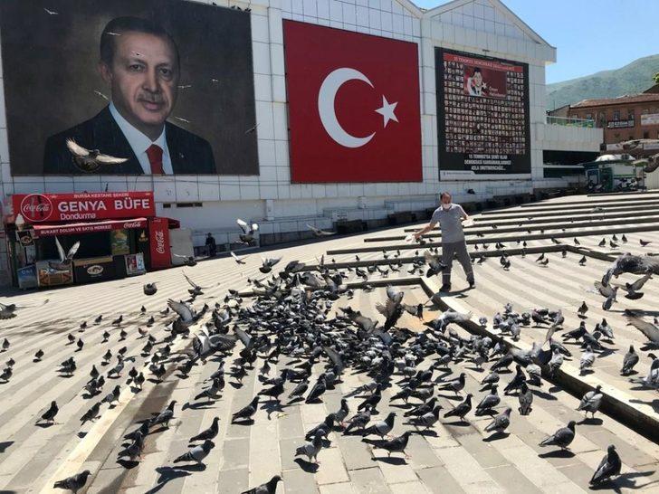 Osmangazi’de sokak hayvanları sahipsiz kalmadı G5