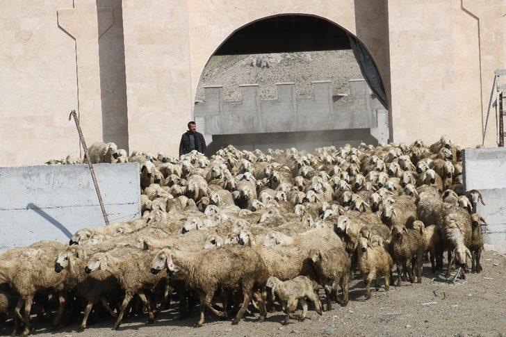 Sivas’taki bu kalenin dünyada eşi benzeri yok G3