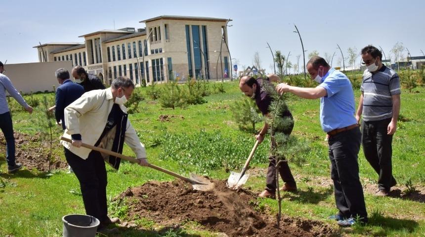 ET&Uuml;&rsquo;de yeni fidanlar can buldu
