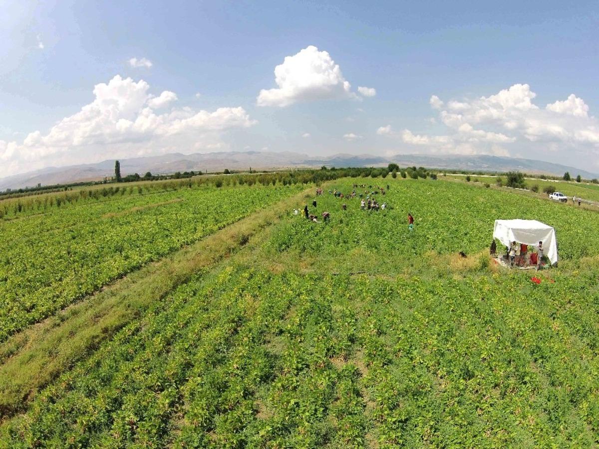 Isparta&rsquo;da sulama sezonu başladı