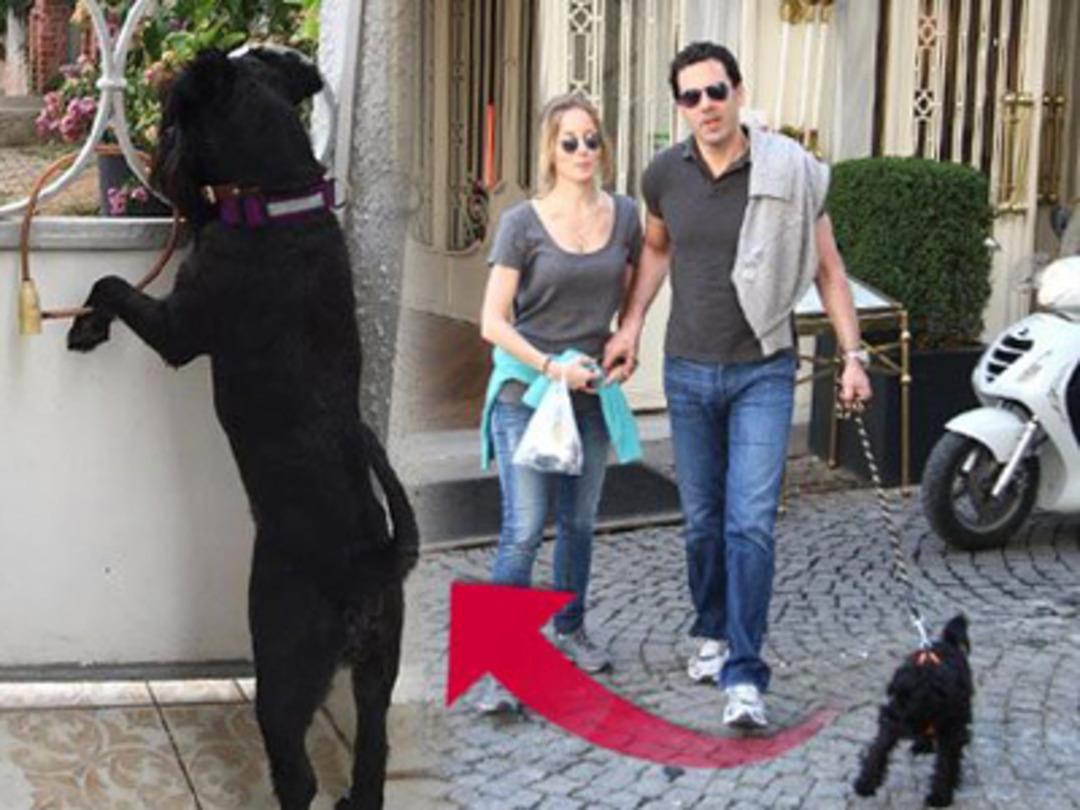 Bade İş&ccedil;il'den g&ouml;nderme