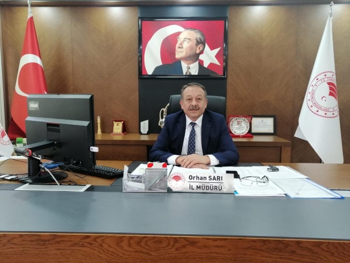 &Ccedil;orum&rsquo;daki g&ouml;letlere balık bırakıldı