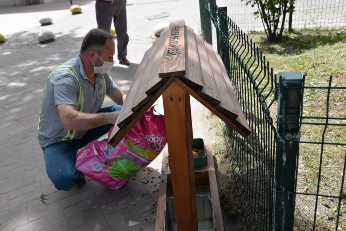Hendek&rsquo;te mama evleri projesi hayata ge&ccedil;irildi