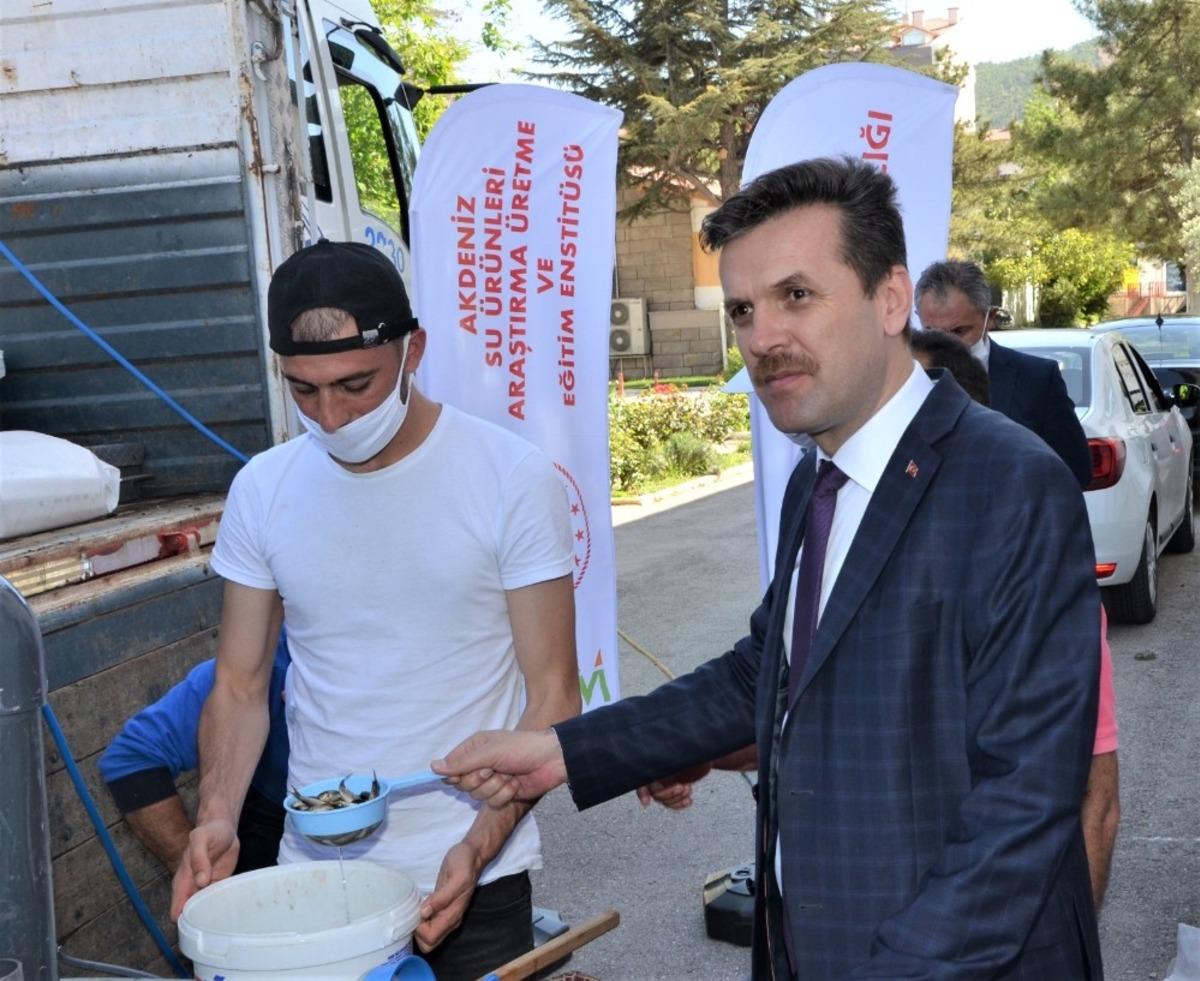 Afyonkarahisar&rsquo;da 31 g&ouml;lete 208 bin 500 balık salındı