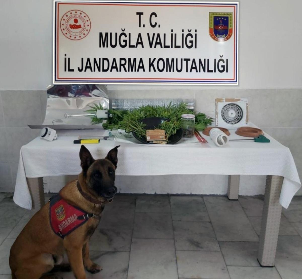 Dalyan&rsquo;da uyuşturucu imalathanesine operasyon