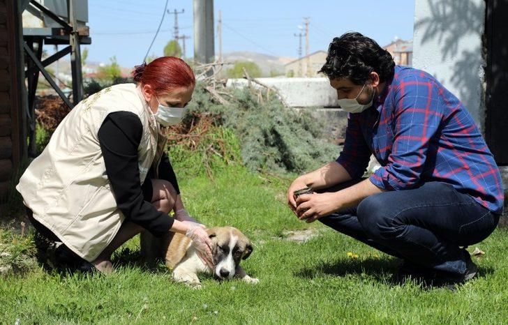 4 günlük kısıtlama öncesi sokak hayvanlarına mama ve su desteği G2