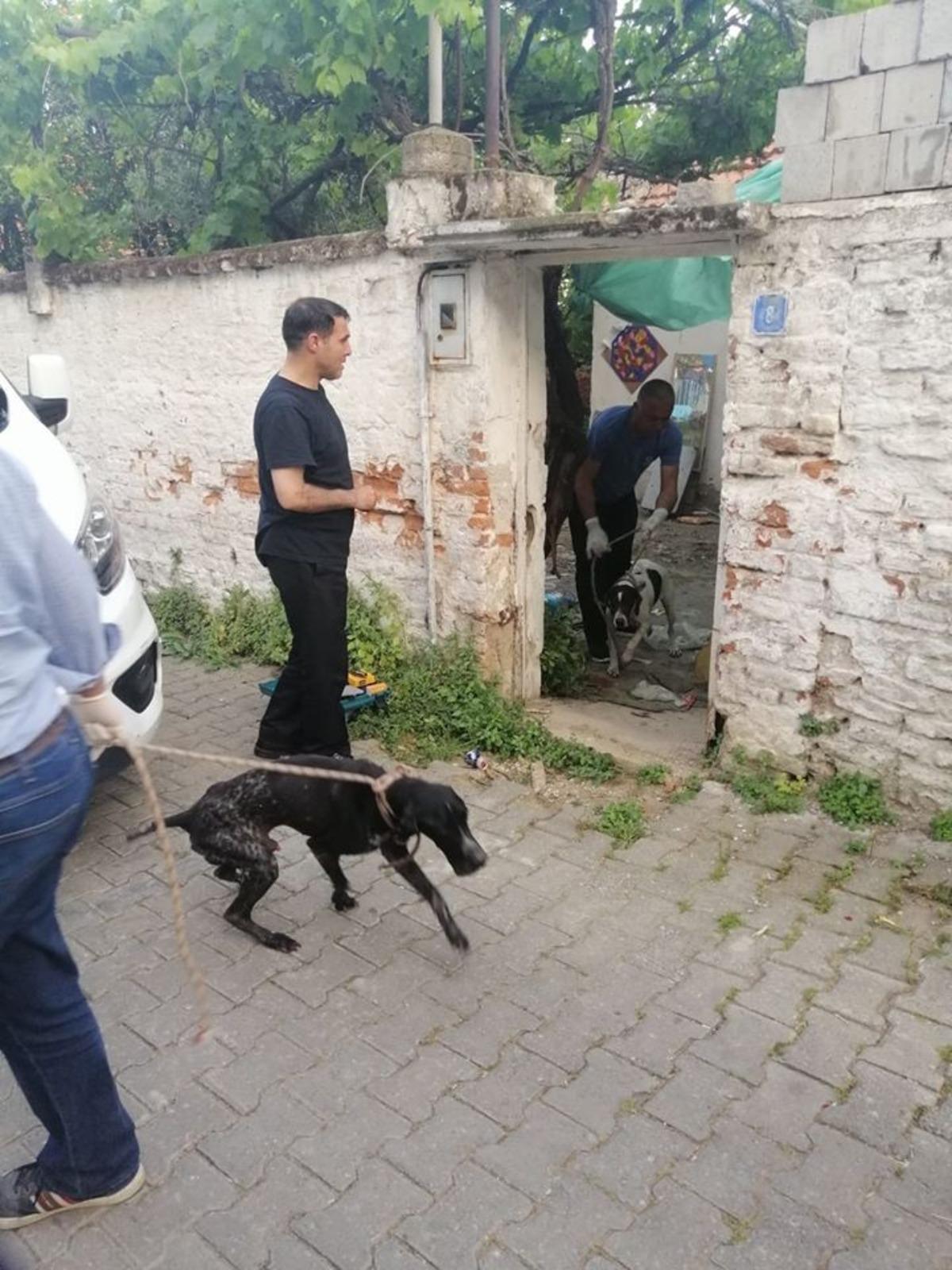 Kaymakam Şahin&rsquo;den jet talimat