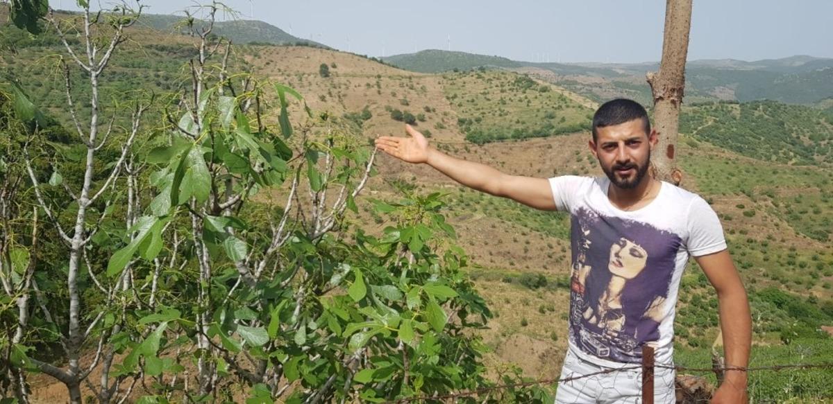 &Ccedil;ekirgeler şimdi de dağ k&ouml;ylerinde