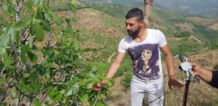 Çekirgeler şimdi de dağ köylerinde G3