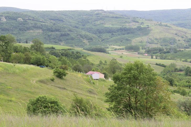 Koronavirüs döneminde Kandıra'daki arazilere talep patladı G2