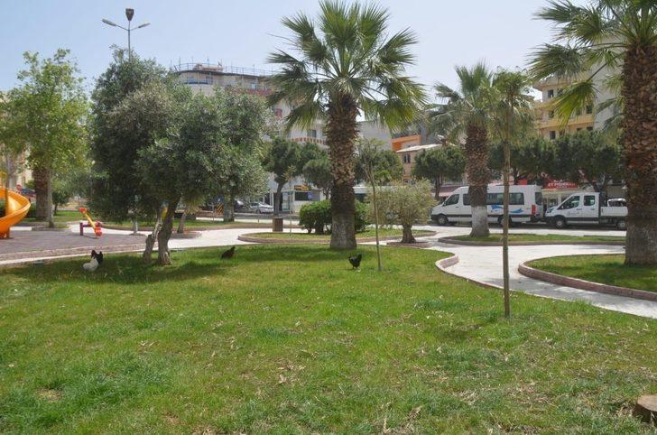 Kuşadası,Jakaranda ağaçları ile renklenecek G2