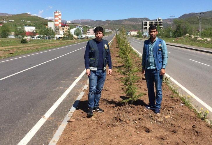 Bingöl’de yol boyu ağaçlandırma çalışması G2