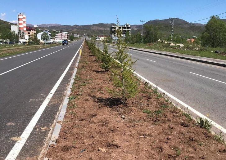 Bingöl’de yol boyu ağaçlandırma çalışması G3
