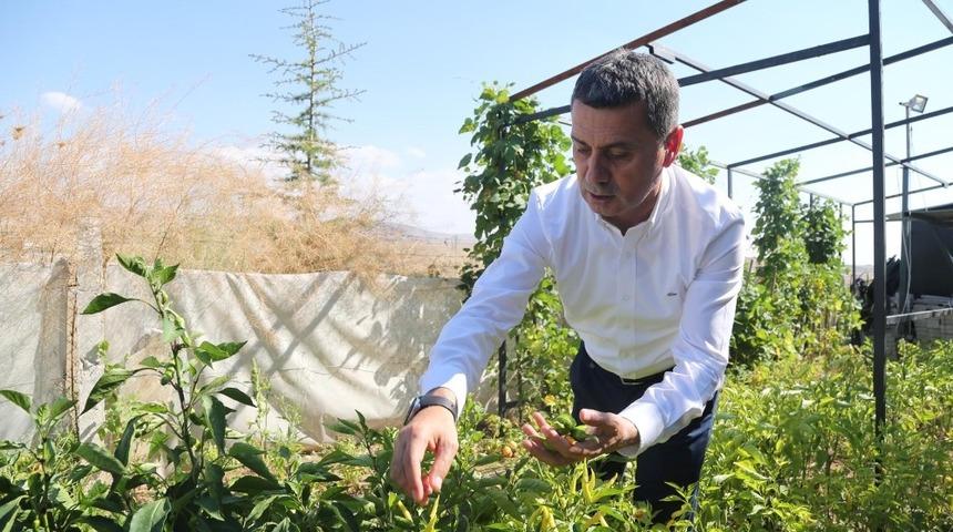 Geleceğimiz g&uuml;zelleşsin diye 80 bin organik fide