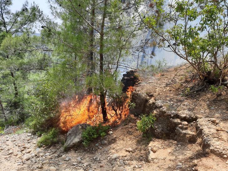 Yemek yapmak isterken ormanı yaktı G2