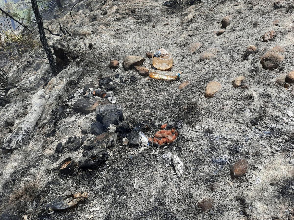 Yemek yapmak isterken ormanı yaktı