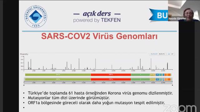 prof.-dr.-nesrin-ozoren-bir-takim-hucre-deneylerinde-basarili-olduk.-yakinda-hayvan-deneylerine-gececegiz_3376_dhaphoto5