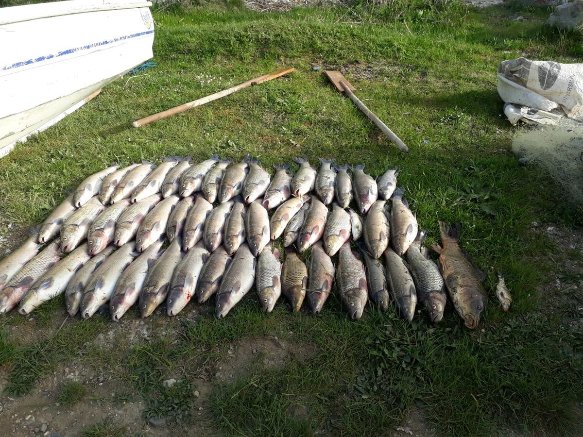 52 balık yakaladılar, 16 bin 950 lira ceza yediler