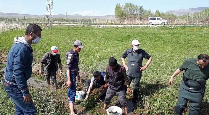 Ölmek üzere olan 3 ton balığı kovalarla taşıdılar G3