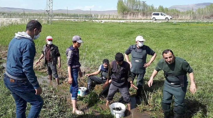 Ölmek üzere olan 3 ton balığı kovalarla taşıdılar G5