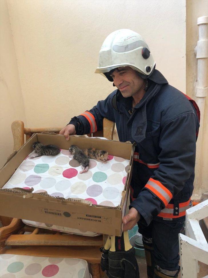 Mersin'de güneş enerjisinin su deposunda mahsur kalan kedi yavruları kurtarıldı G2